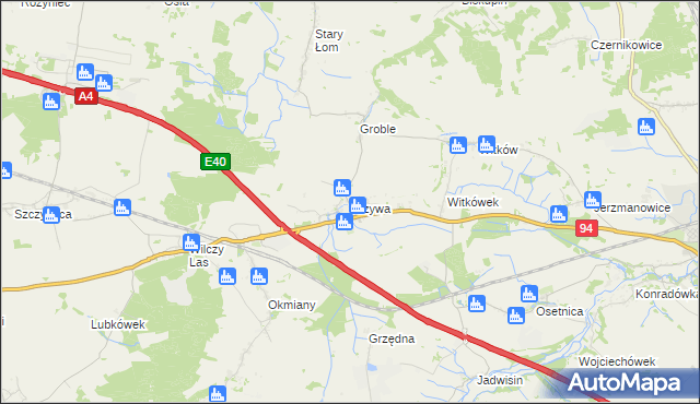 mapa Krzywa gmina Chojnów, Krzywa gmina Chojnów na mapie Targeo