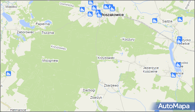 mapa Krzyżowiec gmina Włoszakowice, Krzyżowiec gmina Włoszakowice na mapie Targeo