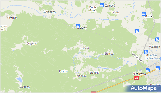 mapa Kwieki, Kwieki na mapie Targeo