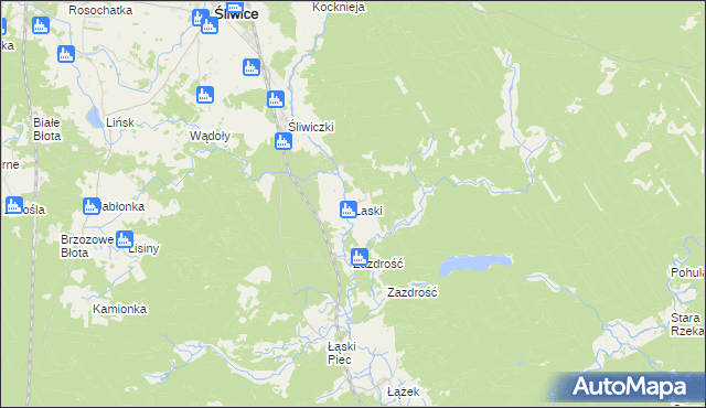 mapa Laski gmina Śliwice, Laski gmina Śliwice na mapie Targeo