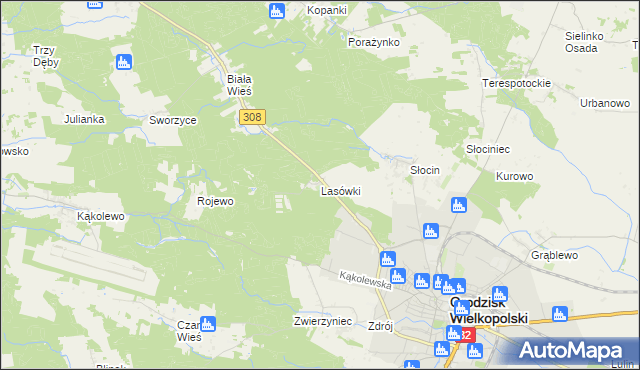 mapa Lasówki gmina Grodzisk Wielkopolski, Lasówki gmina Grodzisk Wielkopolski na mapie Targeo