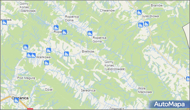 mapa Leszczowate, Leszczowate na mapie Targeo