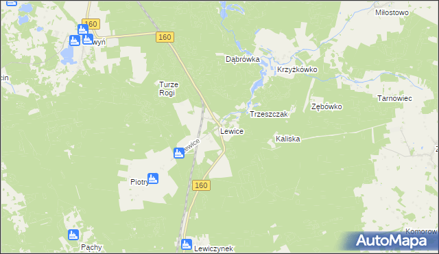 mapa Lewice gmina Międzychód, Lewice gmina Międzychód na mapie Targeo