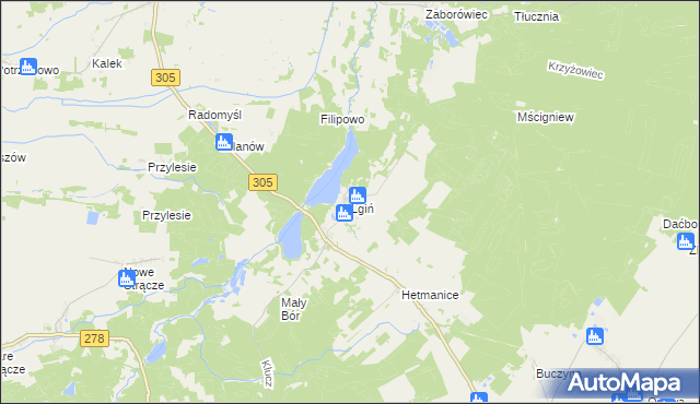 mapa Lgiń, Lgiń na mapie Targeo