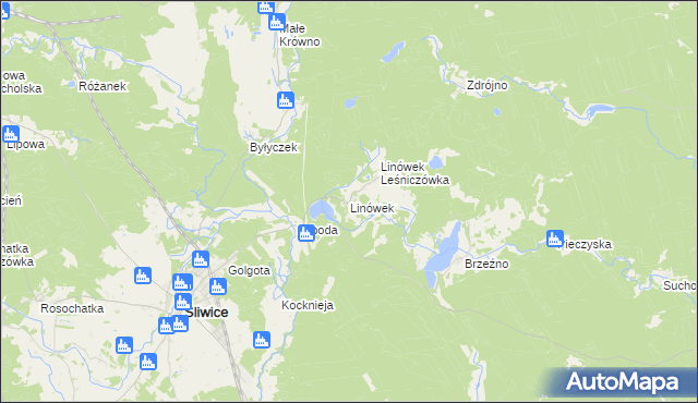 mapa Linówek gmina Śliwice, Linówek gmina Śliwice na mapie Targeo