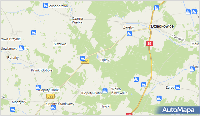 mapa Lipiny gmina Dziadkowice, Lipiny gmina Dziadkowice na mapie Targeo