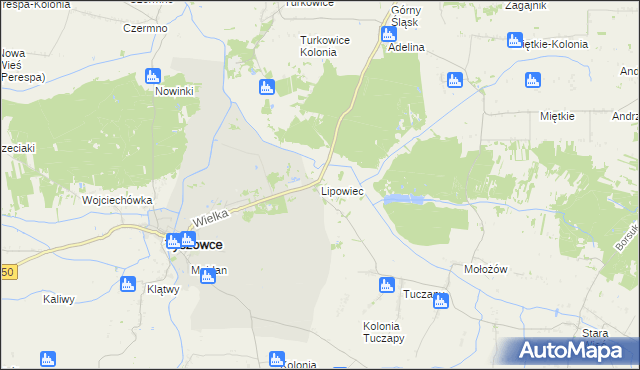 mapa Lipowiec gmina Tyszowce, Lipowiec gmina Tyszowce na mapie Targeo