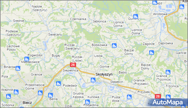 mapa Lisów gmina Skołyszyn, Lisów gmina Skołyszyn na mapie Targeo