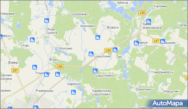 mapa Łopuchowo gmina Murowana Goślina, Łopuchowo gmina Murowana Goślina na mapie Targeo