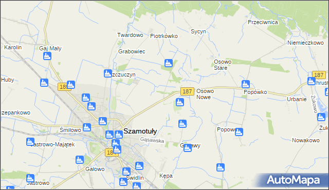 mapa Ludwikowo gmina Szamotuły, Ludwikowo gmina Szamotuły na mapie Targeo