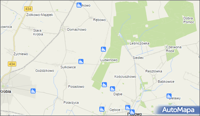 mapa Ludwinowo gmina Pępowo, Ludwinowo gmina Pępowo na mapie Targeo