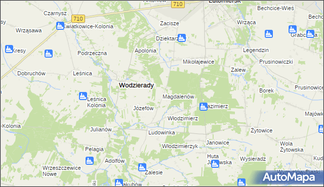 mapa Magdalenów gmina Wodzierady, Magdalenów gmina Wodzierady na mapie Targeo