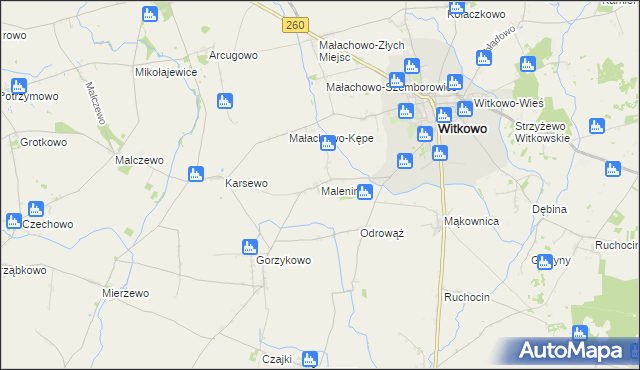 mapa Malenin gmina Witkowo, Malenin gmina Witkowo na mapie Targeo