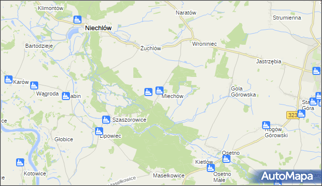 mapa Miechów gmina Niechlów, Miechów gmina Niechlów na mapie Targeo