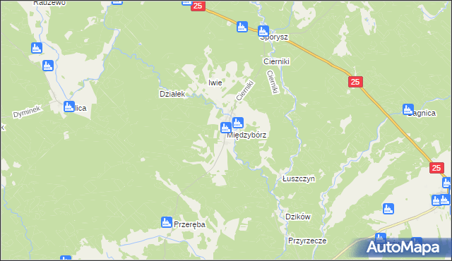 mapa Międzybórz gmina Rzeczenica, Międzybórz gmina Rzeczenica na mapie Targeo