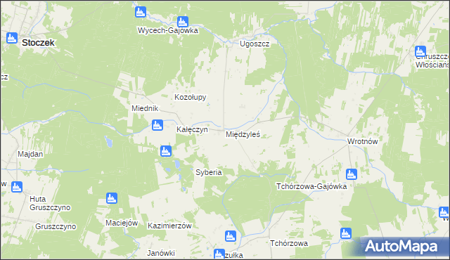 mapa Międzyleś gmina Miedzna, Międzyleś gmina Miedzna na mapie Targeo