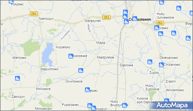 mapa Międzylesie gmina Damasławek, Międzylesie gmina Damasławek na mapie Targeo
