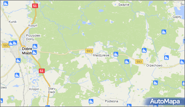 mapa Międzylesie gmina Dobre Miasto, Międzylesie gmina Dobre Miasto na mapie Targeo