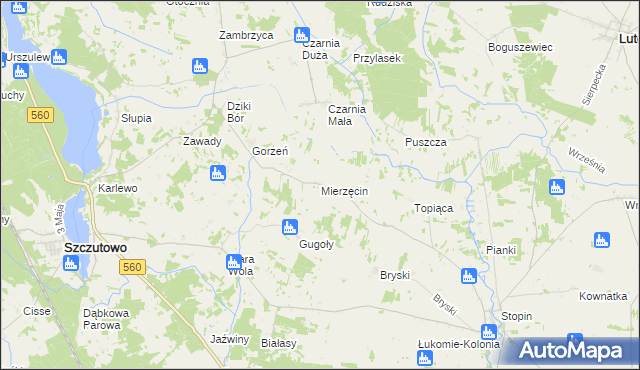 mapa Mierzęcin gmina Szczutowo, Mierzęcin gmina Szczutowo na mapie Targeo