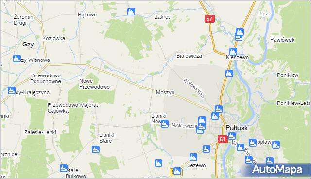 mapa Moszyn, Moszyn na mapie Targeo