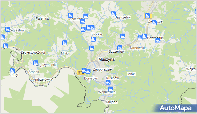 mapa Muszyna, Muszyna na mapie Targeo