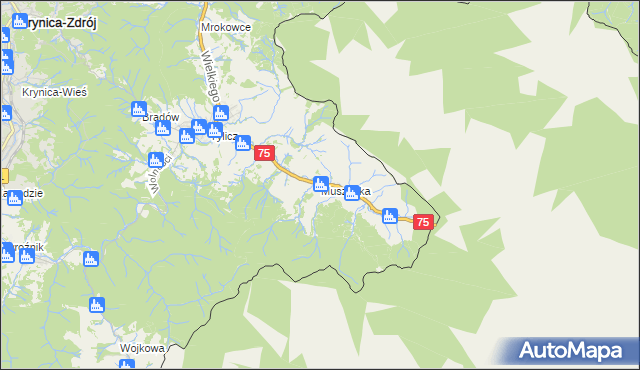 mapa Muszynka, Muszynka na mapie Targeo