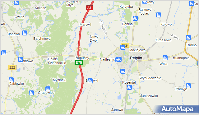 mapa Nadleśnictwo, Nadleśnictwo na mapie Targeo