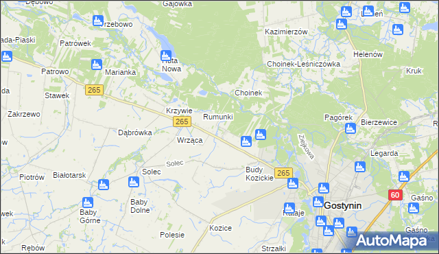 mapa Nagodów gmina Gostynin, Nagodów gmina Gostynin na mapie Targeo