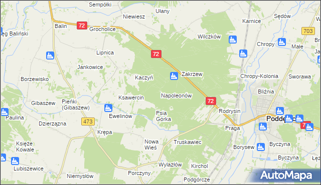 mapa Napoleonów gmina Poddębice, Napoleonów gmina Poddębice na mapie Targeo