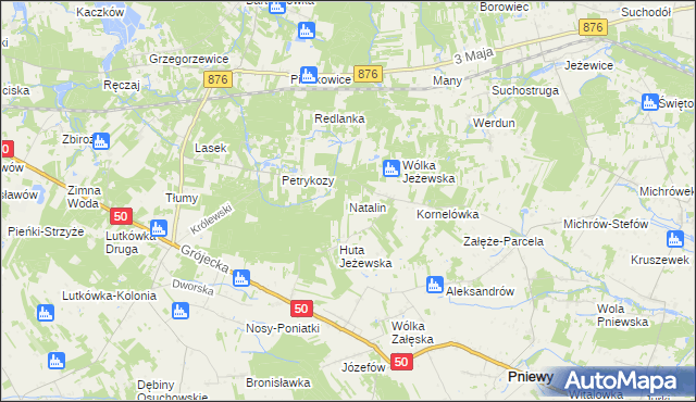 mapa Natalin gmina Pniewy, Natalin gmina Pniewy na mapie Targeo