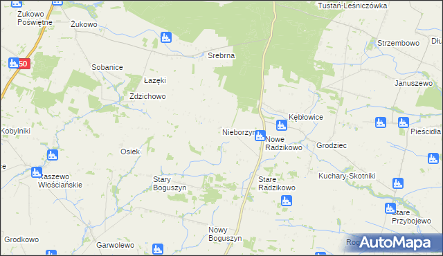 mapa Nieborzyn gmina Czerwińsk nad Wisłą, Nieborzyn gmina Czerwińsk nad Wisłą na mapie Targeo
