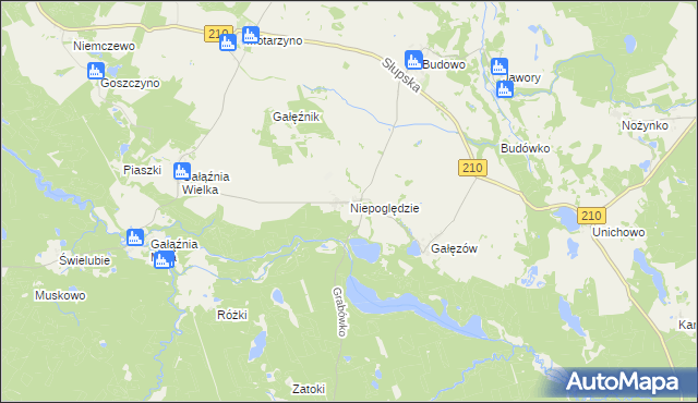 mapa Niepoględzie, Niepoględzie na mapie Targeo