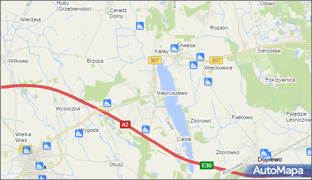 mapa Niepruszewo, Niepruszewo na mapie Targeo