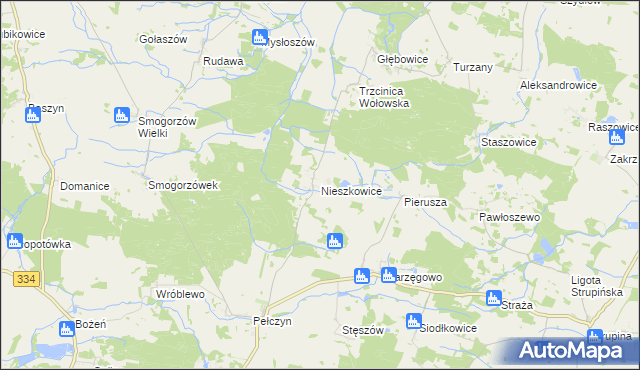 mapa Nieszkowice gmina Wołów, Nieszkowice gmina Wołów na mapie Targeo