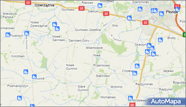 mapa Niwa gmina Dzierzążnia, Niwa gmina Dzierzążnia na mapie Targeo