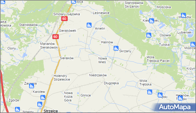 mapa Nowa Wieś gmina Gostynin, Nowa Wieś gmina Gostynin na mapie Targeo