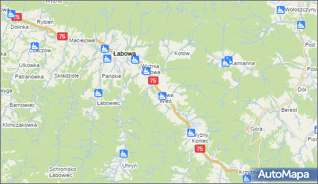 mapa Nowa Wieś gmina Łabowa, Nowa Wieś gmina Łabowa na mapie Targeo