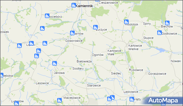 mapa Ogonów gmina Kamiennik, Ogonów gmina Kamiennik na mapie Targeo