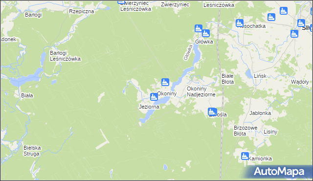 mapa Okoniny gmina Śliwice, Okoniny gmina Śliwice na mapie Targeo