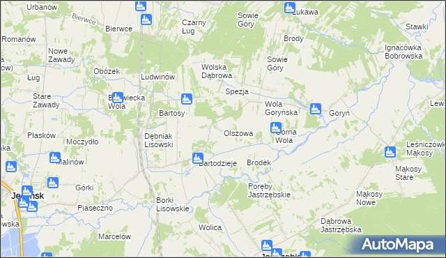 mapa Olszowa gmina Jastrzębia, Olszowa gmina Jastrzębia na mapie Targeo