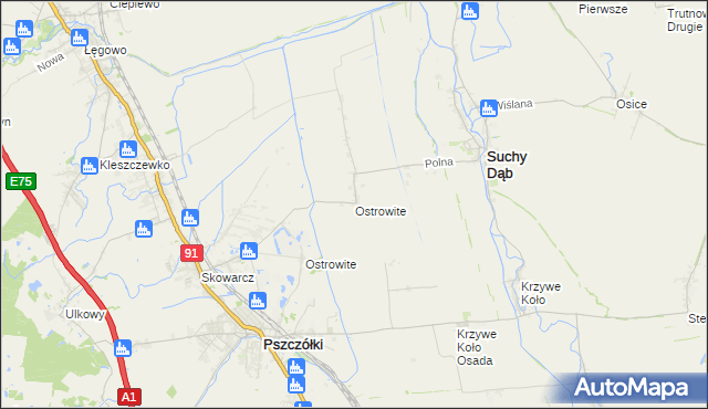 mapa Ostrowite gmina Suchy Dąb, Ostrowite gmina Suchy Dąb na mapie Targeo