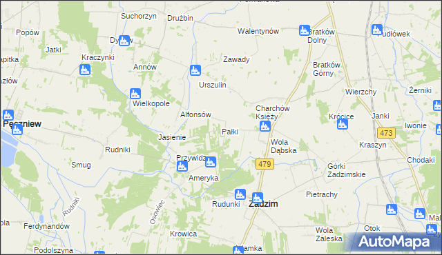 mapa Pałki gmina Zadzim, Pałki gmina Zadzim na mapie Targeo