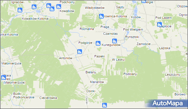 mapa Pasieki gmina Ciepielów, Pasieki gmina Ciepielów na mapie Targeo