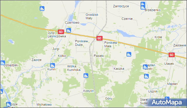 mapa Pasieki gmina Goworowo, Pasieki gmina Goworowo na mapie Targeo