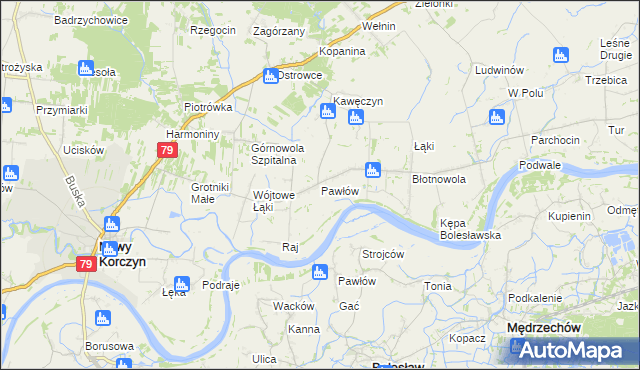 mapa Pawłów gmina Nowy Korczyn, Pawłów gmina Nowy Korczyn na mapie Targeo