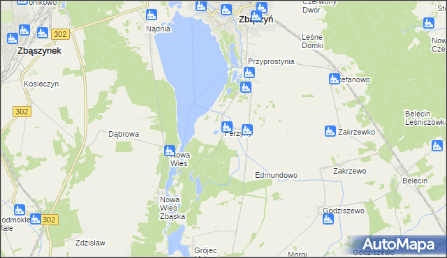 mapa Perzyny gmina Zbąszyń, Perzyny gmina Zbąszyń na mapie Targeo