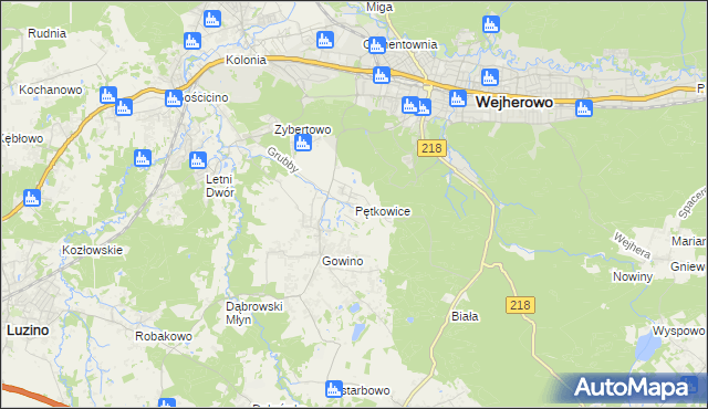 mapa Pętkowice gmina Wejherowo, Pętkowice gmina Wejherowo na mapie Targeo