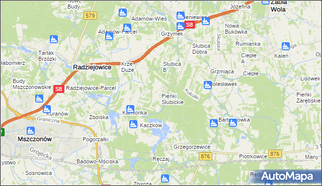 mapa Pieńki Słubickie, Pieńki Słubickie na mapie Targeo