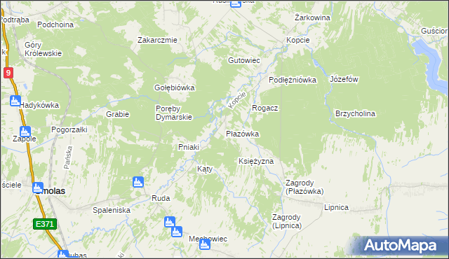 mapa Płazówka gmina Dzikowiec, Płazówka gmina Dzikowiec na mapie Targeo