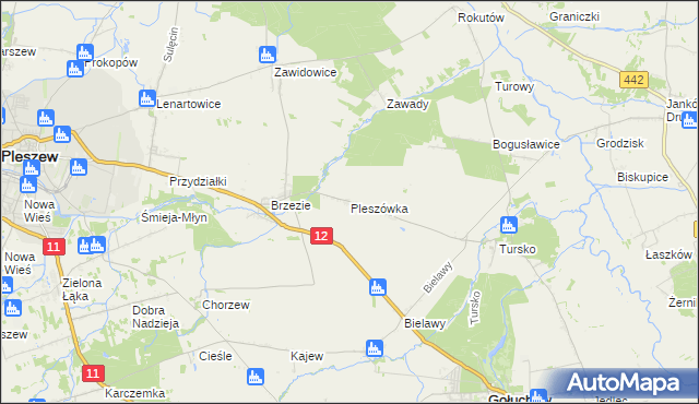 mapa Pleszówka, Pleszówka na mapie Targeo